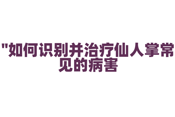 "如何识别并治疗仙人掌常见的病害？"